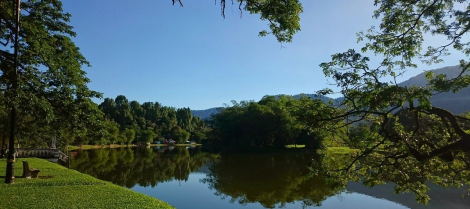 lac et jardin